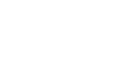 LIC