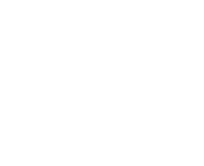 TribeVibe